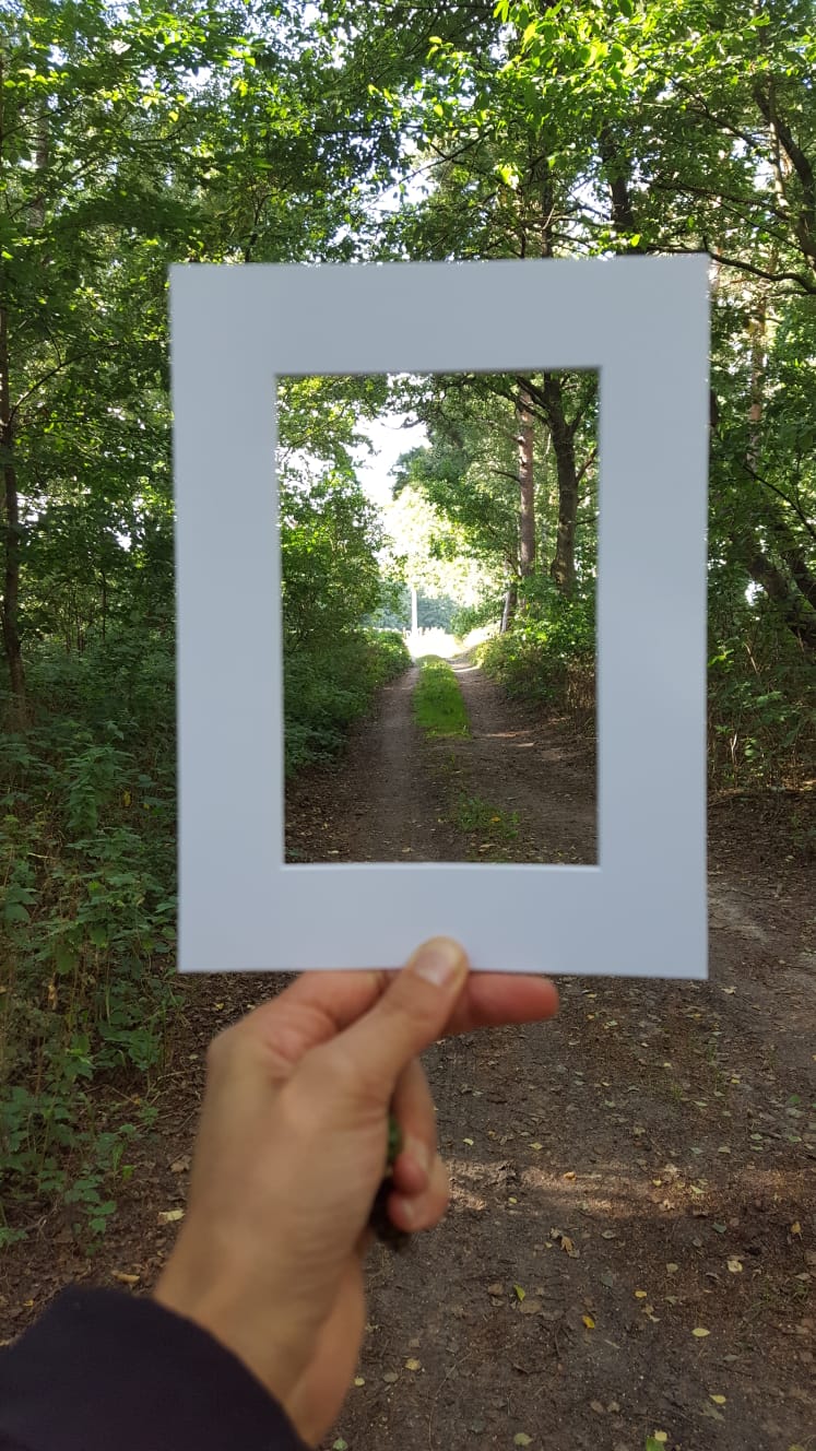 Wald im Rahmen